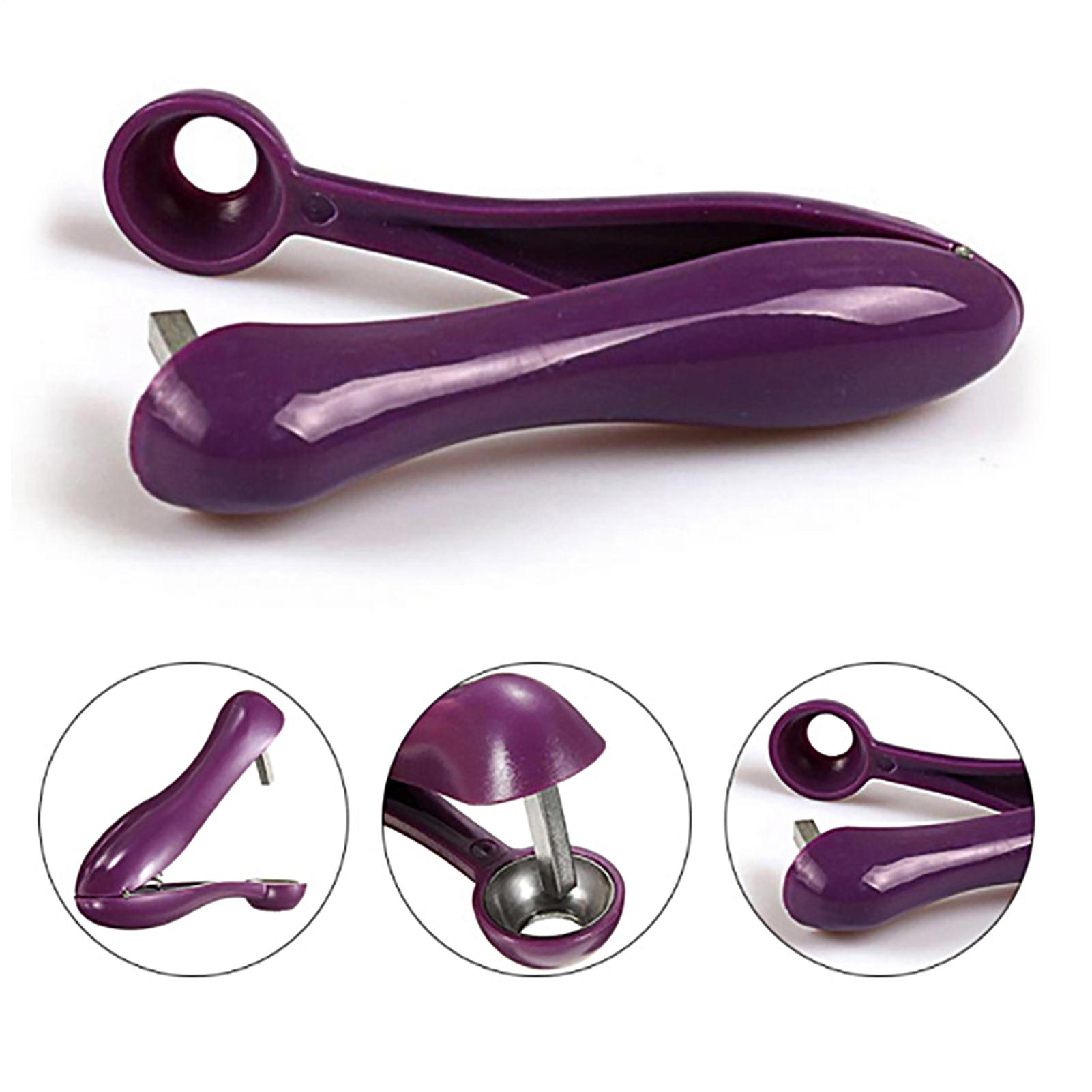 Portable Cherry Fruit Kitchen  - Cherry Pitter Tool review and price