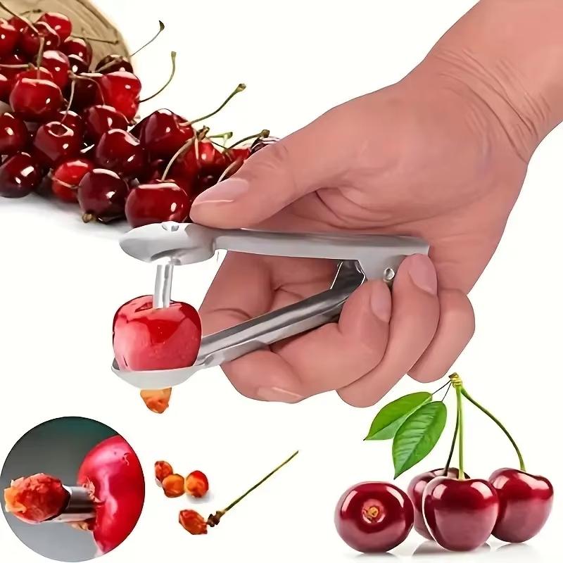 Stainless Steel Cherry Pitter  - Cherry Pitter Tool review and price