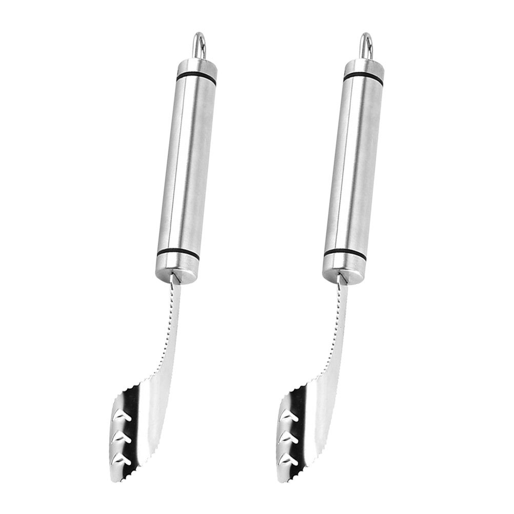 2Pcs Stainless Steel Chili Cor - Cherry Pitter Tool review and price