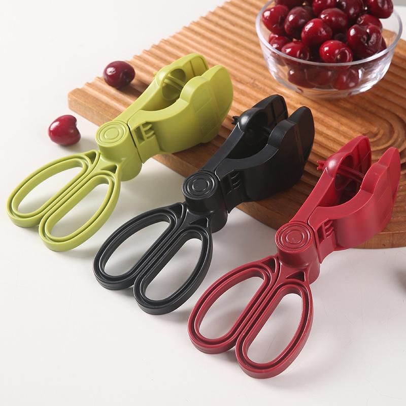Ergonomic Handle Cherry Pit Re - Cherry Pitter Tool review and price